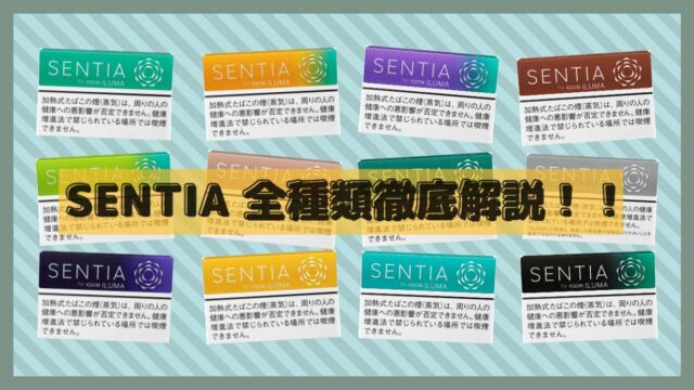 センティアのフレーバー全種類を紹介